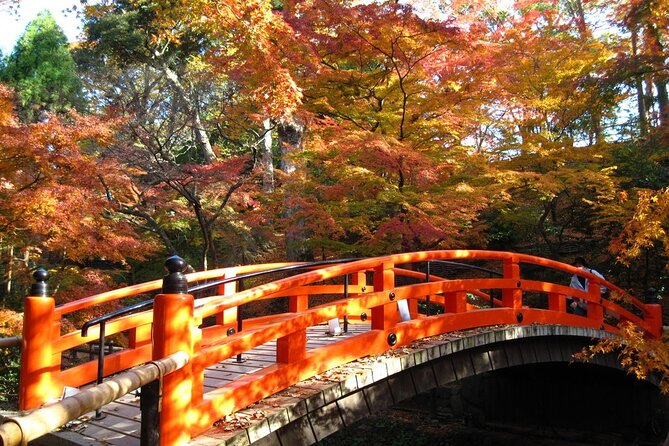 Historical Kyoto E-Bike Tour - Lunch, water, and the yen reality for food stops