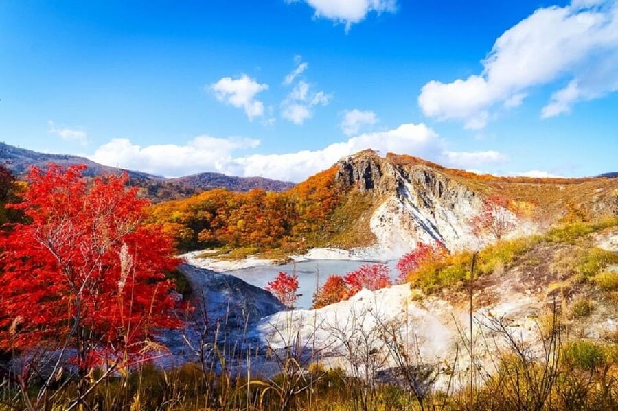 Hokkaido│Noboribetsu & Lake Toya Tour with Ropeway Ticket - How the guide and bus set the pace