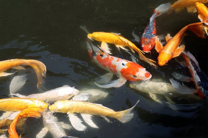 Imperial Palace East Garden and Edo Castle Walking Tour in Tokyo - Who should book this Imperial Palace East Garden and Edo Castle walk