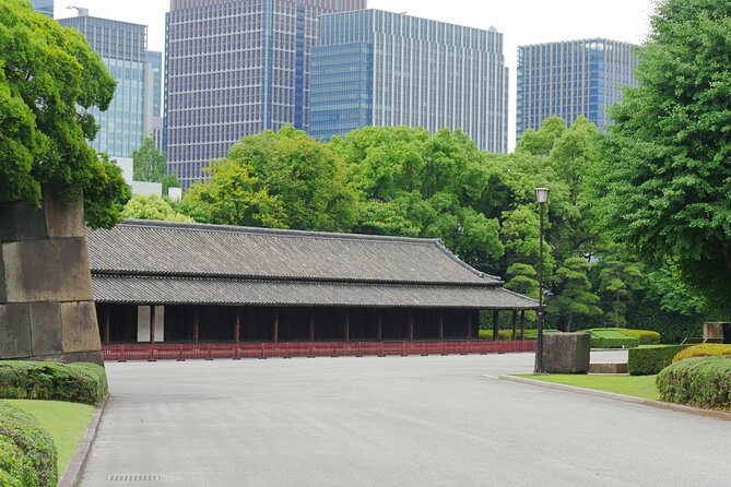 Imperial Palace East Garden and Edo Castle Walking Tour in Tokyo - Timing, pacing, and shoes: logistics that actually matter