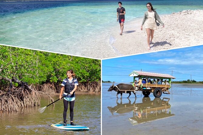 Iriomote 1 Day Mangrove SUP/Canoe, Barasu Island & Yubu Island - Price and value at about $99, what is included and what costs extra