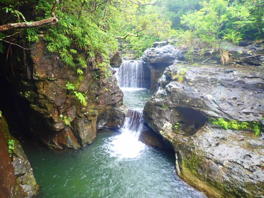 Iriomote Island: Guided 2-Hour Canyoning Tour - What’s Included for Value, and What to Bring From Home
