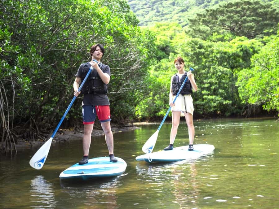 Iriomote island: Mangrove River SUP or Canoe Cruising Tour - Key highlights you will actually care about