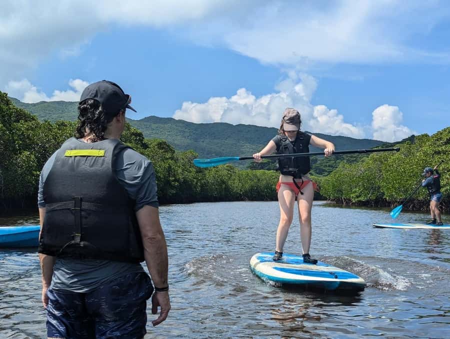 Iriomote island: Mangrove River SUP or Canoe Cruising Tour - Why Iriomote’s mangrove waterways feel different from other Okinawa trips