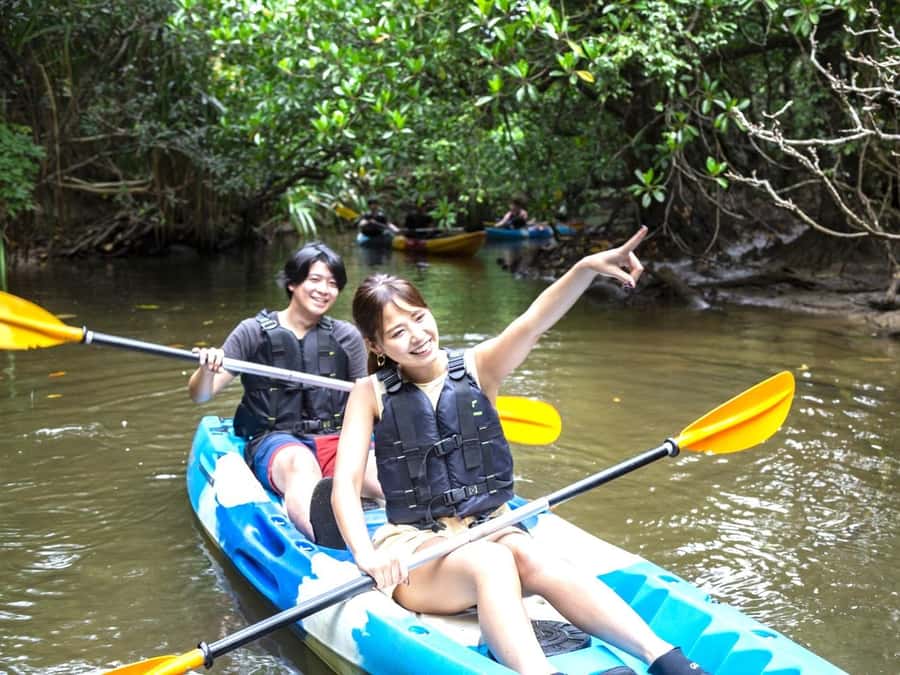 Iriomote island: Mangrove River SUP or Canoe Cruising Tour - The low-tide mangrove walk, why it is the secret sauce