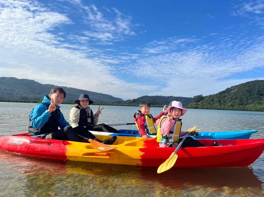 Iriomote island: Mangrove River SUP or Canoe Cruising Tour - Who should book, and who should skip this mangrove adventure