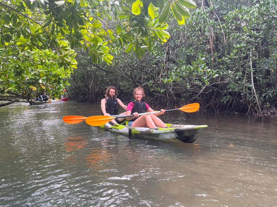 Iriomote island: Mangrove River SUP or Canoe Cruising Tour - Weather and tide reality, how to keep the day comfortable