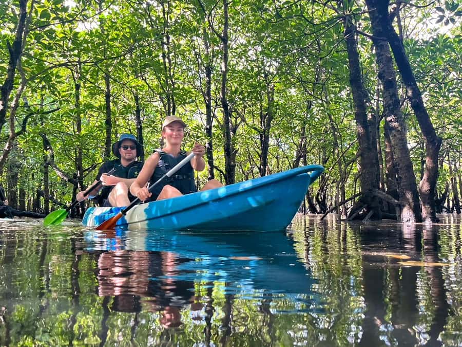 Iriomote island: Mangrove River SUP or Canoe Cruising Tour - Canoe or SUP for 1.5 hours, what you do on the water