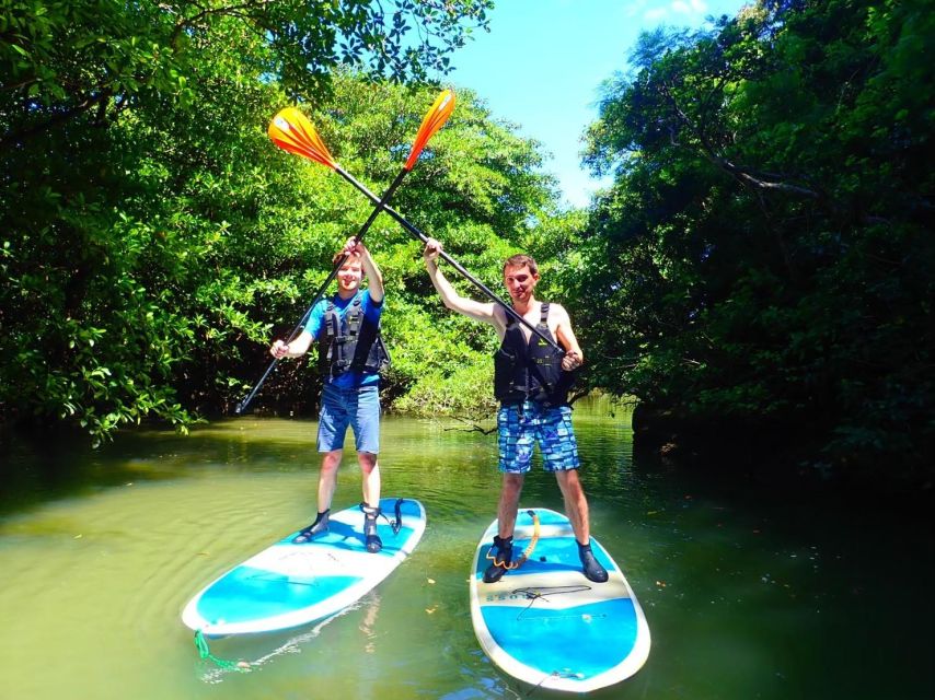 Ishigaki Island: 2-Hour Miyara River SUP or Canoeing Tour - Logistics without the headaches: hotel pickup, timing, and where to go