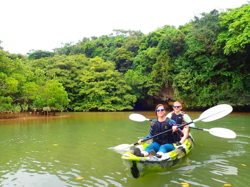 Ishigaki Island: 2-Hour Miyara River SUP or Canoeing Tour - The start at Yugenna Ishigaki Port: quick, organized, and close to water time