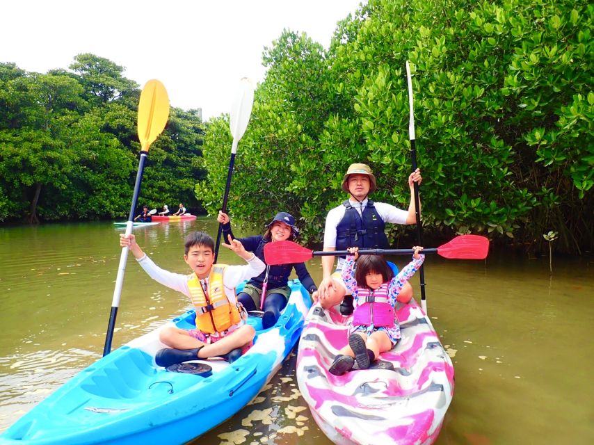 Ishigaki Island: 2-Hour Miyara River SUP or Canoeing Tour - The mangroves you’re seeing, and why the guide talk matters