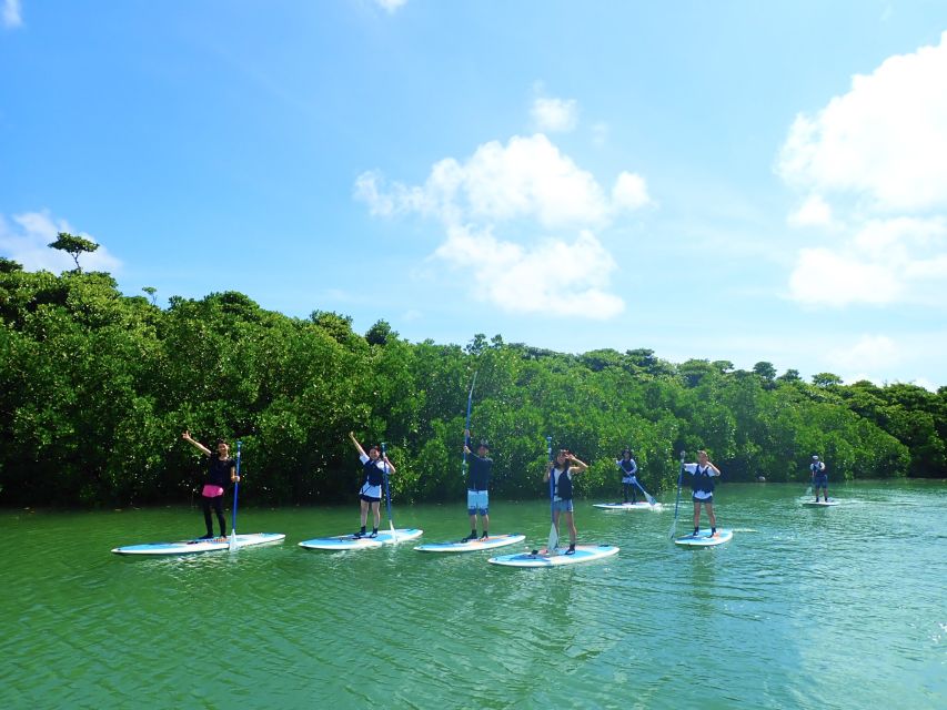 Ishigaki Island: 2-Hour Miyara River SUP or Canoeing Tour - Safety and comfort: the small details that make or break a wet day