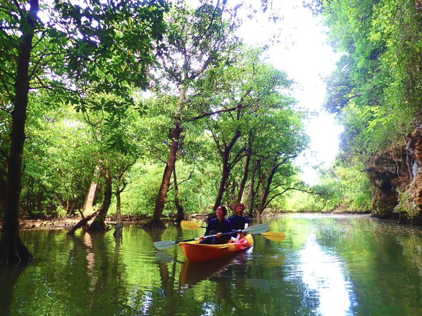 Ishigaki Island: 2-Hour Miyara River SUP or Canoeing Tour - Included perks: photo data and showers make the value feel real