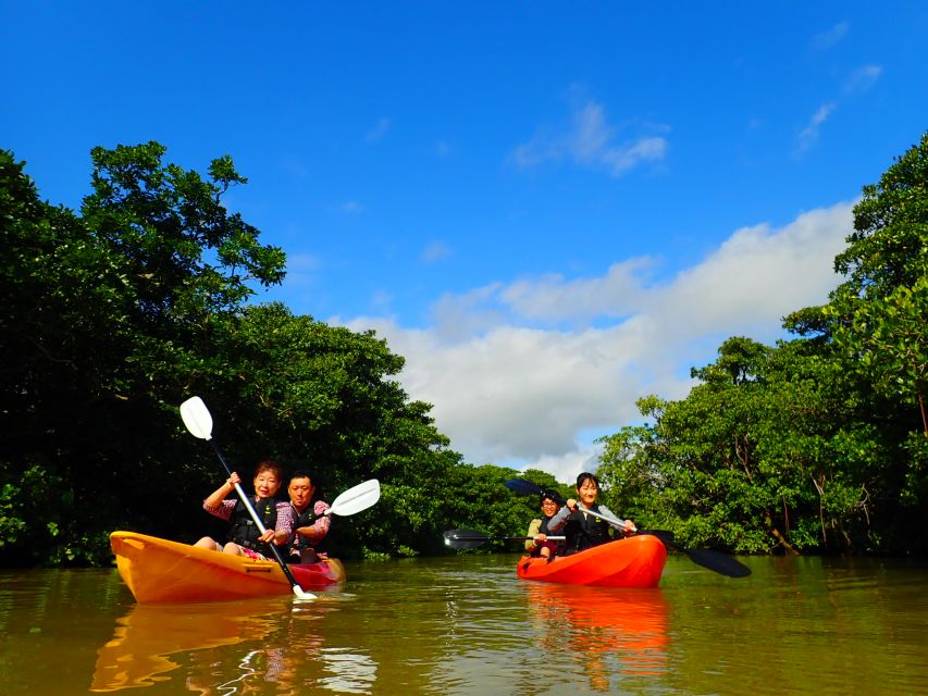 Ishigaki Island: 2-Hour Miyara River SUP or Canoeing Tour - SUP vs canoe: which one to pick for your comfort level