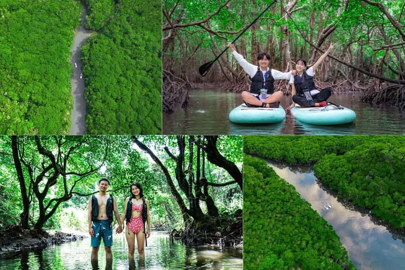 Ishigaki:Mangrove&Sea SUP/Kayak Tour with SLR&Drone footage - Key things that make this tour worth your time