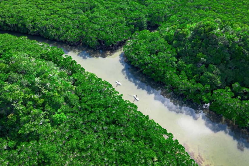 Ishigaki:Mangrove&Sea SUP/Kayak Tour with SLR&Drone footage - First meet-up at 吹通橋駐車場, then a safety-first start