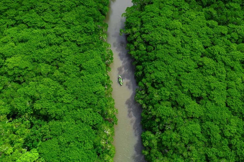 Ishigaki:Mangrove&Sea SUP/Kayak Tour with SLR&Drone footage - Ocean segment: DSLR and drone shots where the light hits