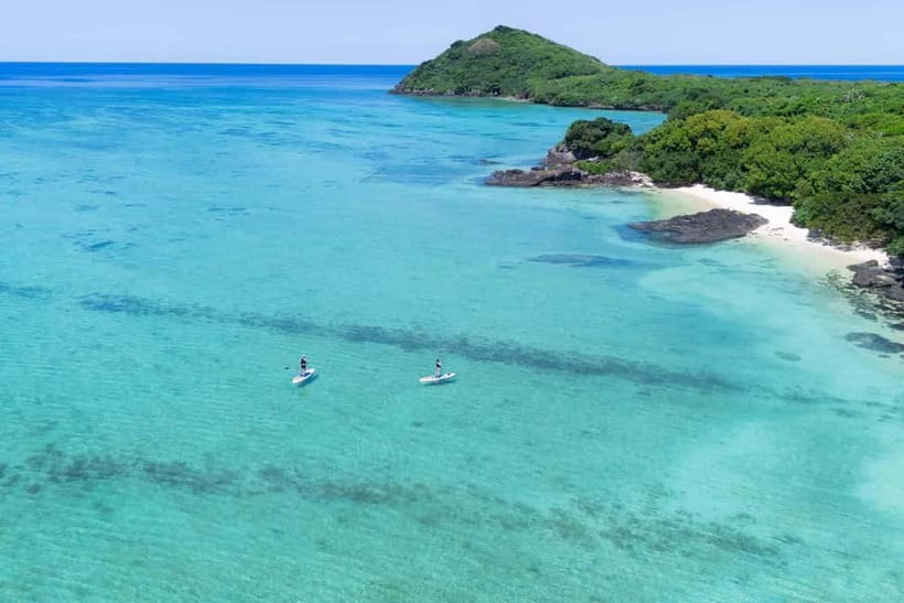 Ishigaki:Mangrove&Sea SUP/Kayak Tour with SLR&Drone footage - Price and value: $48 for gear, guide, and real camera work