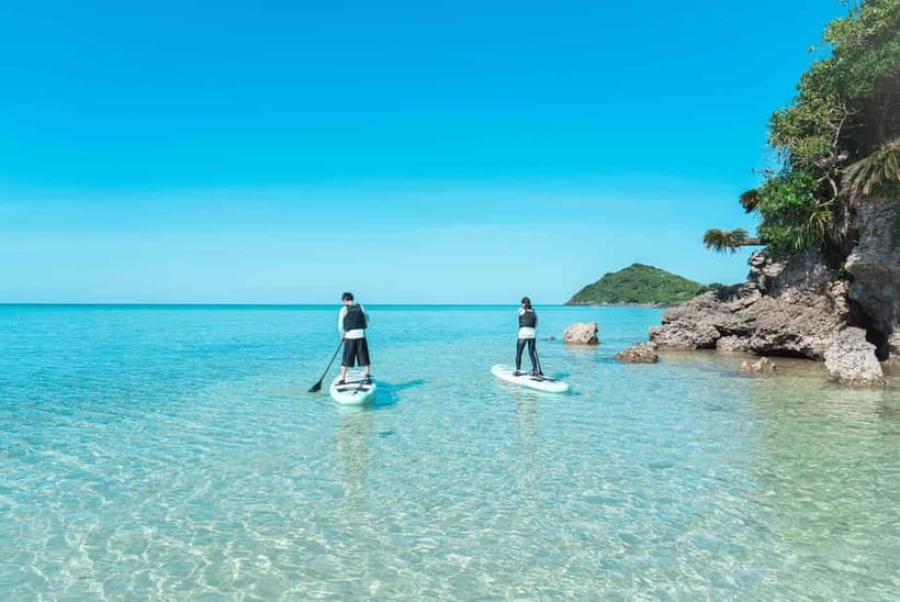 Ishigaki:Mangrove&Sea SUP/Kayak Tour with SLR&Drone footage - Who this tour fits best (and who should think twice)
