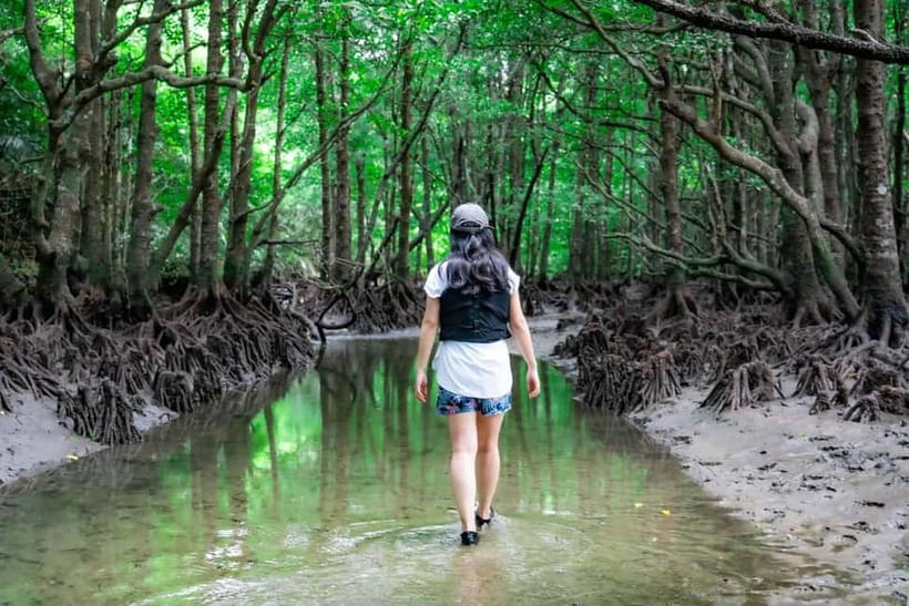 Ishigaki:Mangrove&Sea SUP/Kayak Tour with SLR&Drone footage - Should you book this Ishigaki mangrove SUP or kayak plus drone photo tour?