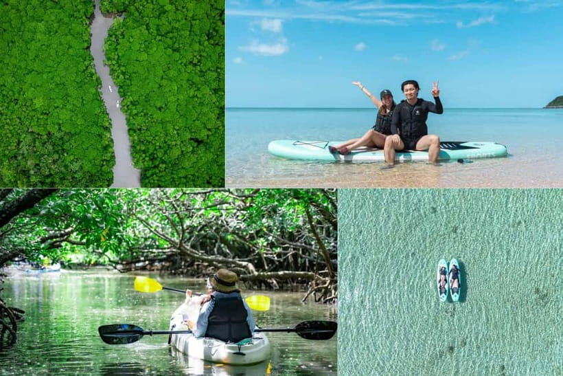 Ishigaki:Mangrove&Sea SUP/Kayak Tour with SLR&Drone footage - Mangrove paddling in Ishigaki: SUP or kayak for about 1.5 hours
