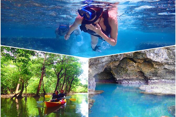 [Ishigaki]Mangrove SUP/Canoe + Blue Cave Snorkeling - Key highlights you will care about