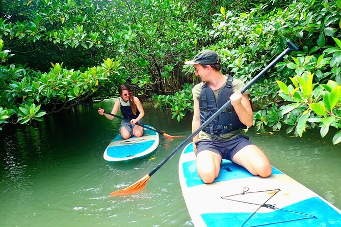 [Ishigaki]Mangrove SUP/Canoe + Blue Cave Snorkeling - Miyara River mangroves by SUP or canoe, what it feels like
