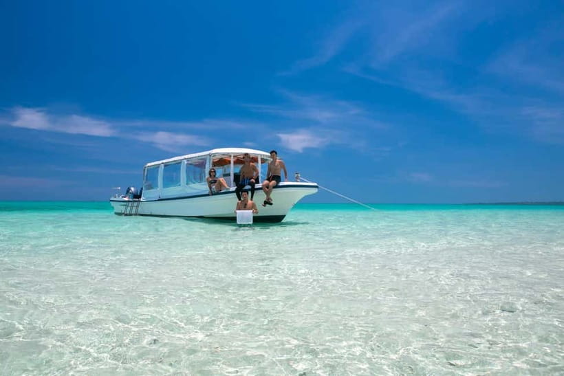 Ishigaki: Mangrove SUP or Canoe & Phantom Island Snorkeling - A 6-hour mix of mangrove paddling and tide-shaped snorkeling