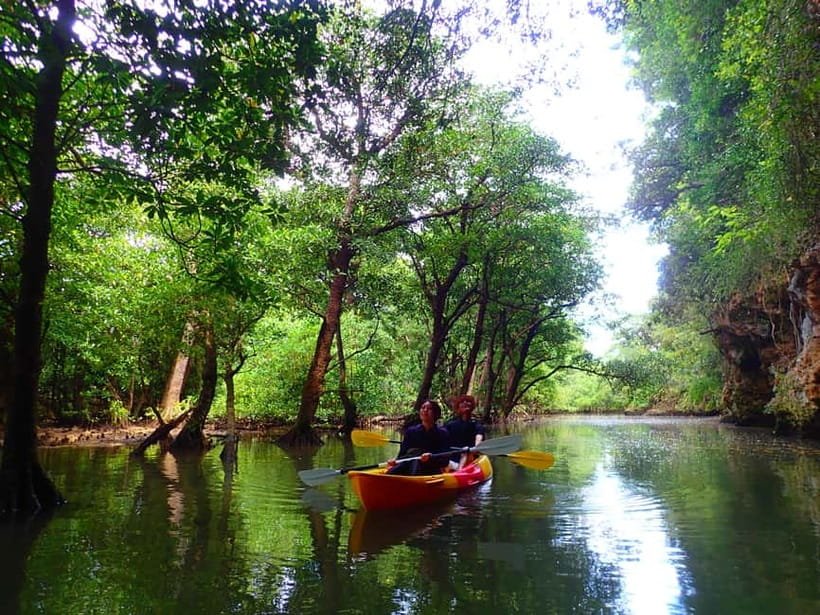 Ishigaki: Mangrove SUP or Canoe & Phantom Island Snorkeling - The 2-hour break back at the port terminal