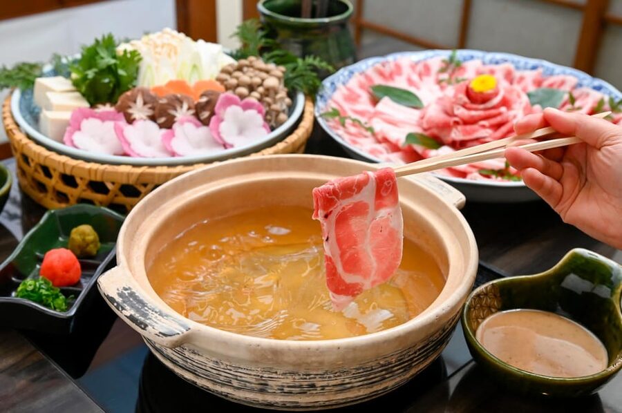 Kagoshima-city Sightseeing spot Private Tour - Should You Book This Kagoshima Private Tour?