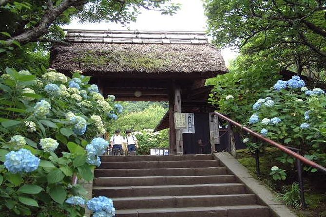 Kamakura 8 hr Private Walking Tour with Licensed Guide from Tokyo - Bamboo Grove Calm at Hokoku-ji, Plus the Zen Temple Variety