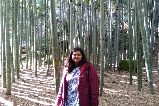 Kamakura 8 hr Private Walking Tour with Licensed Guide from Tokyo - Enoshima Island: A Short Sea-Change from Kamakura