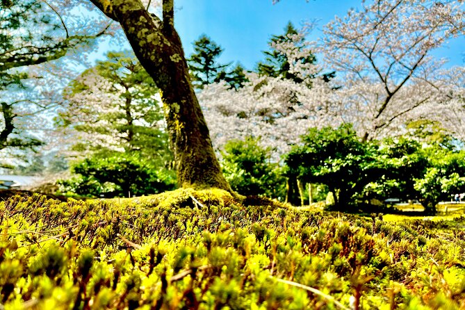 Kanazawa Full Day Private Tour to Top Highlights with Local Guide - Samurai Kanazawa: Nagamachi lanes and the Nomura Family Samurai House