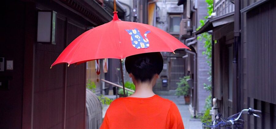 Kanazawa: Half-Day Private Guided Tour - The best way to use four hours in Kanazawa