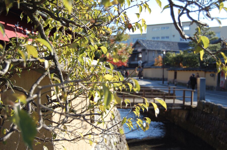 Kanazawa: Samurai Residence Remains Nomura Family admission - Practical Planning Notes That Save You Time