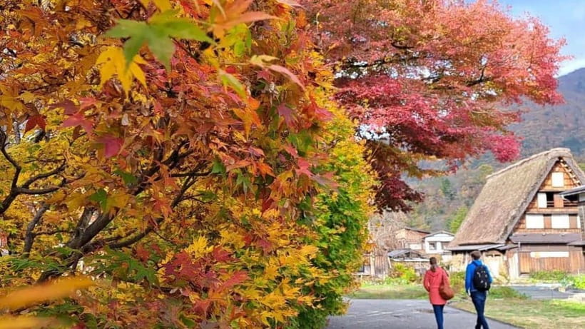 Kanazawa/Takayama: Shirakawago & Takayama Private Day Tour - Why This Shirakawa-go and Takayama Private Day Feels Less Stressful