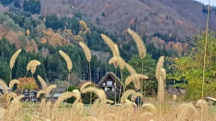 Kanazawa/Takayama: Shirakawago & Takayama Private Day Tour - Shirakawa-go: Roofs, Walking Time, and the Best Photo Setup