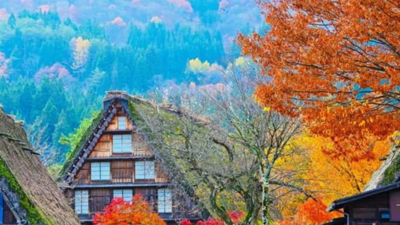 Kanazawa/Takayama: Shirakawago & Takayama Private Day Tour - Pickups and the 8-Hour Rhythm (So You Are Not Done at 2 pm)