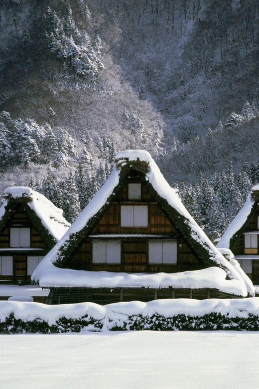 Kanazawa: World Heritage Shirakawa-go & Two Local Experience - What It Feels Like On the Ground, Based on Real Guide Styles