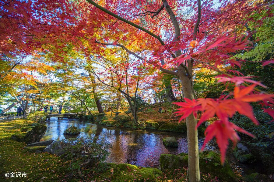 Kanazawa: World Heritage Shirakawa-go & Two Local Experience - The Kenrokuen Garden Walk That Teaches You How to Look