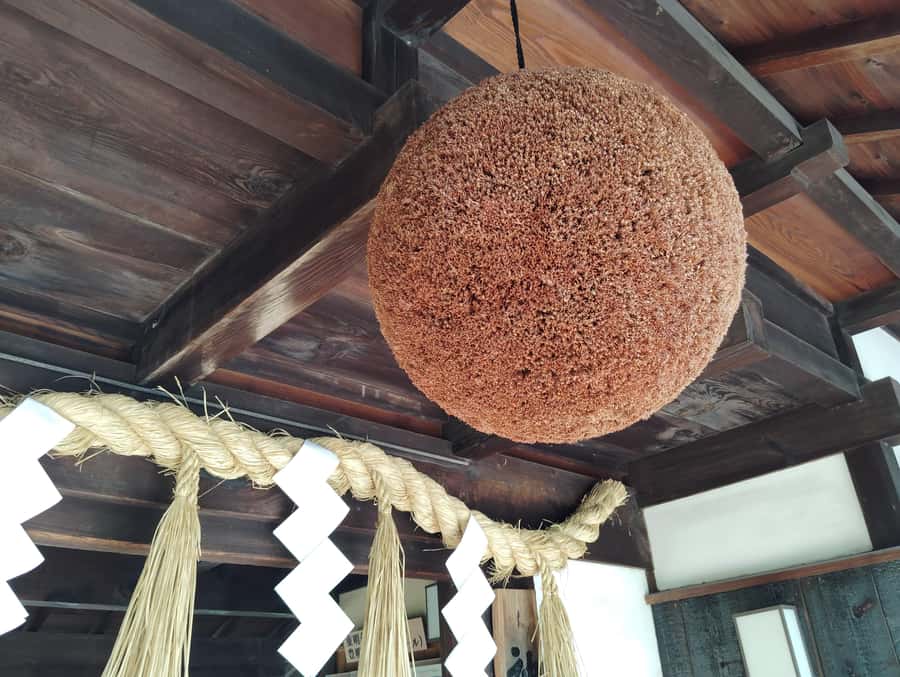Kobe: 3-Hour Sake Breweries Tour with Special Tasting - Who should book this sake brewery tour?