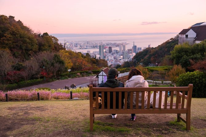 Kobe Half Day Tour - Private & Personalized with a Local Guide - Why This Kobe Half-Day Tour Feels More Local Than Usual