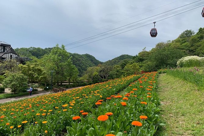 Kobe private tour from Osaka (Shore excursion available from Osaka or Kobe port) - Price and Logistics: Is $195.96 Per Person Worth It?