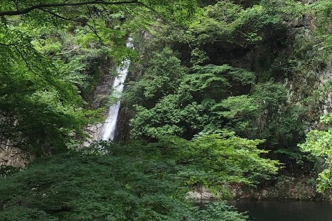 Kobe private tour from Osaka (Shore excursion available from Osaka or Kobe port) - Pacing, Comfort, and Who This Tour Fits Best