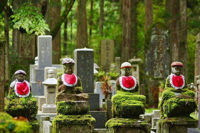 Koyasan Full-Day Private Tour - What You Actually Get From a Private Local Guide