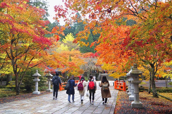 Koyasan Full-Day Private Tour - Who This Koyasan Tour Is Best For