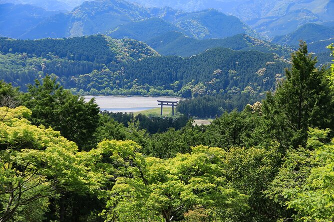 Kumano Kodo Pilgrimage Tour with Licensed Guide & Vehicle - Quick highlights before you set your shoes on the old ways