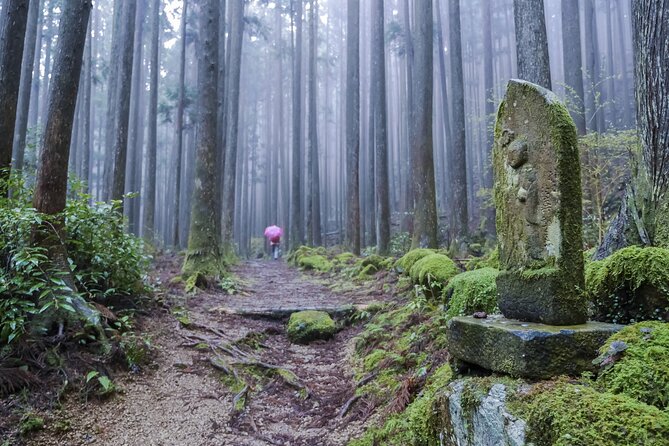 Kumano Kodo Pilgrimage Tour with Licensed Guide & Vehicle - Hongu Taisha: where the pilgrimage narrative gets its anchor