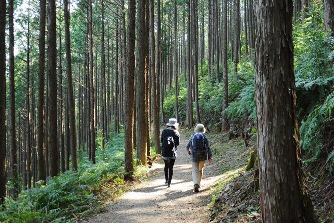 Kumano Kodo Pilgrimage Tour with Licensed Guide & Vehicle - Kyushachi Oyunohara: the original shrine site and the giant torii effect