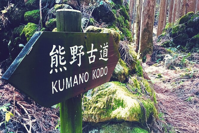 Kumano Kodo Pilgrimage Tour with Licensed Guide & Vehicle - Nachi Mitaki Falls: timing, photos, and the sheer force of it